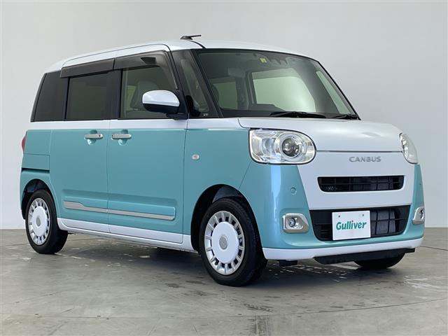 ムーヴキャンバスストライプス G