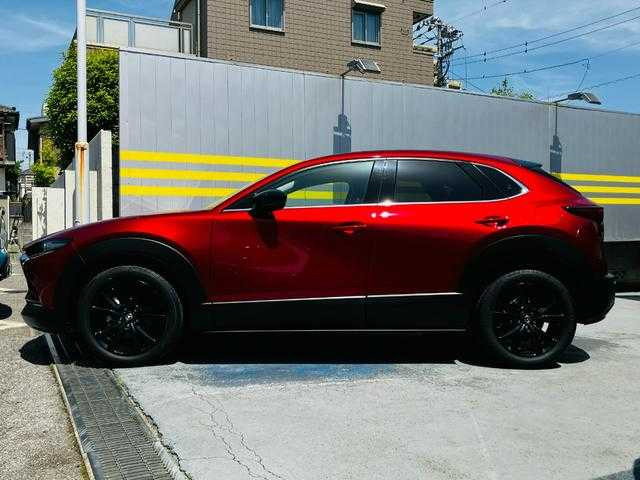 CX-302.0 20S ブラックトーンエディション