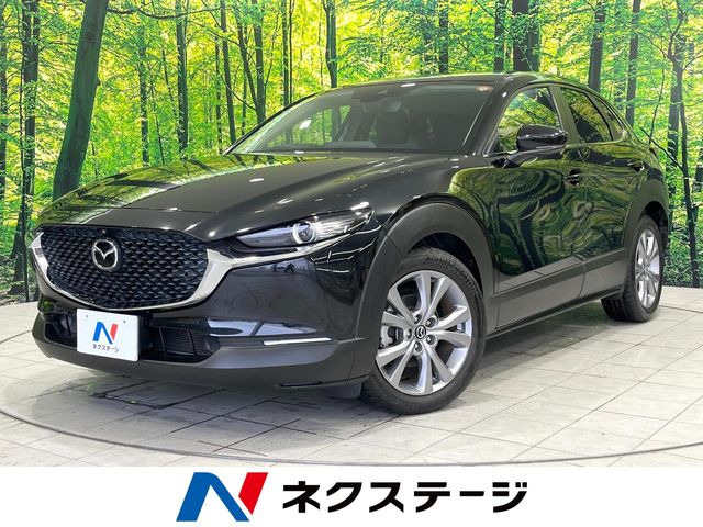 CX-302.0 20S