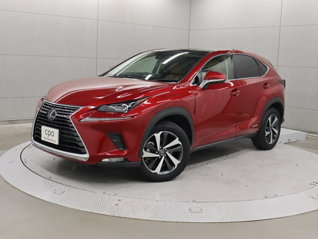 NX300h バージョンL