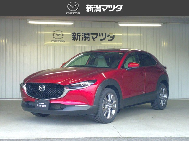 CX-302.0 20S Lパッケージ 4WD
