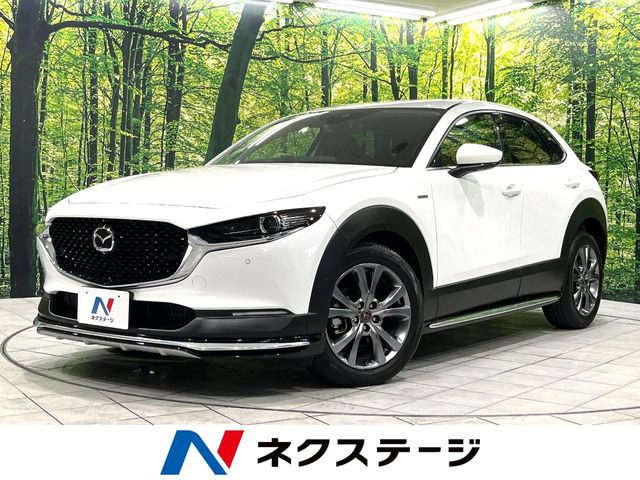 CX-302.0 20S 100周年特別記念車