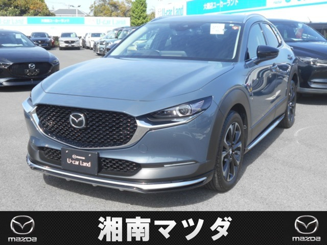 CX-301.8 XD Lパッケージ