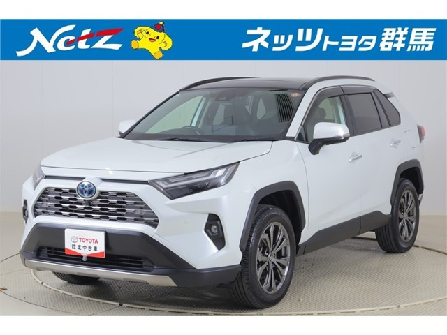 RAV42.5 ハイブリッド G E-Four 4WD