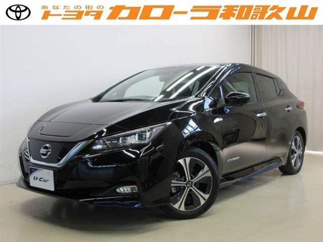 リーフX Vセレクション