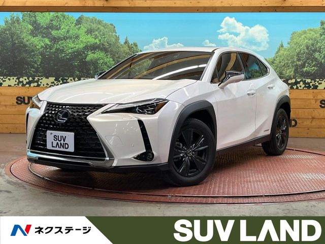 UX250h バージョンC