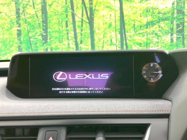 UX250h バージョンC