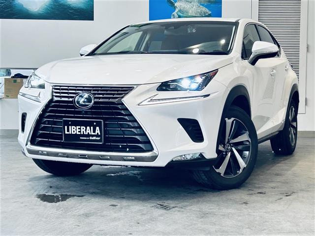 NX300h バージョンL