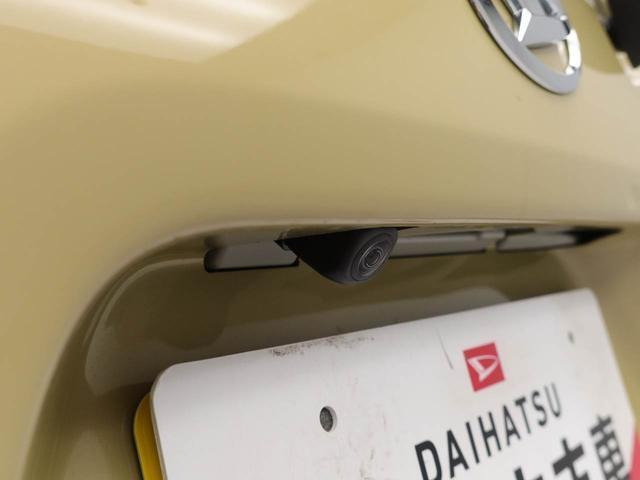 タントファンクロス リミテッド