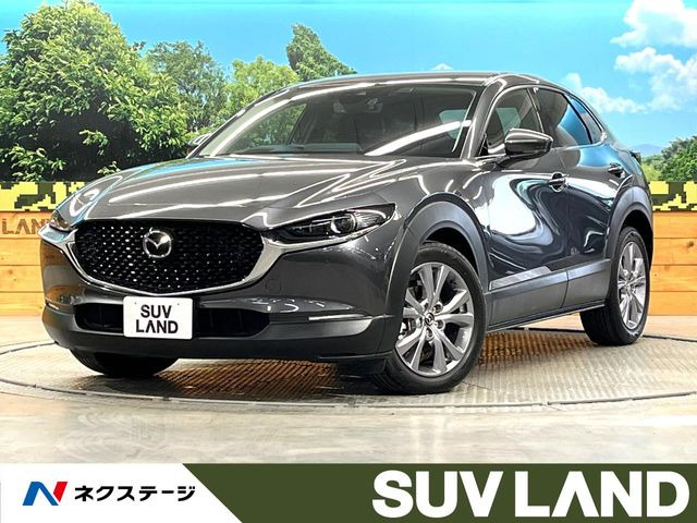 CX-302.0 20S プロアクティブ