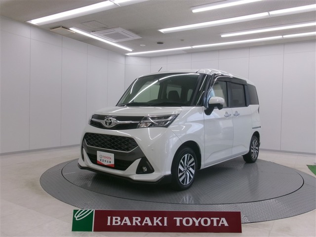 タンク1.0 カスタム G