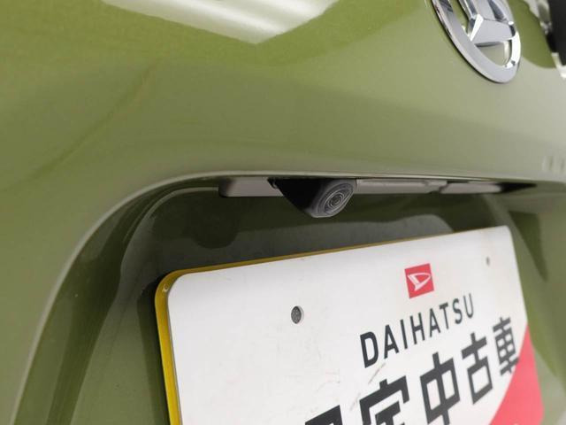 タントファンクロス