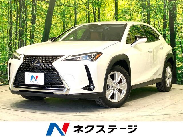 UX250h バージョンC