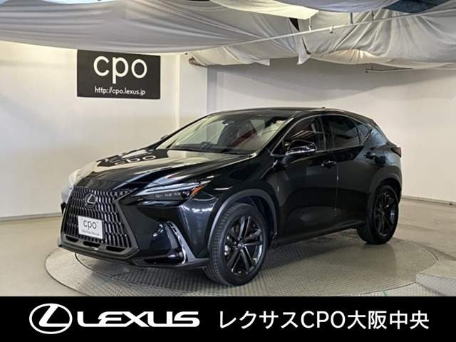 NX250 バージョンL
