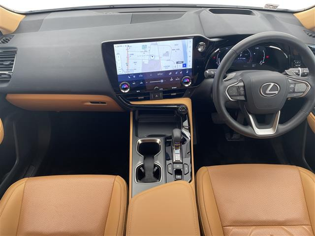 NX250 バージョンL