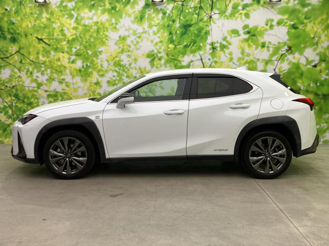 UX250h Fスポーツ