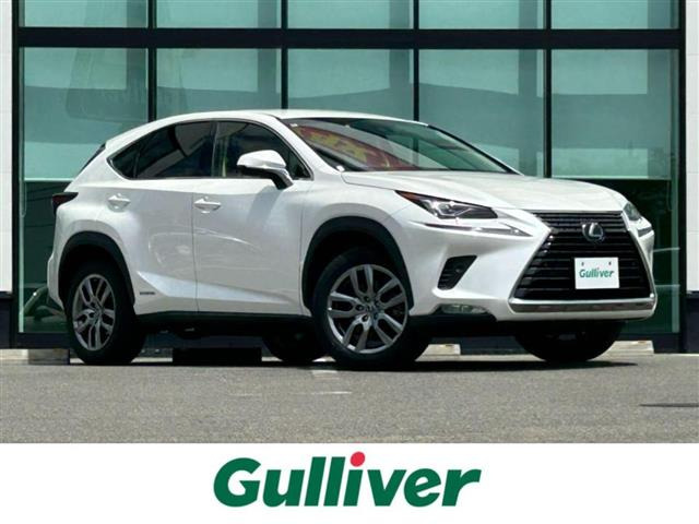 NX300h バージョンL