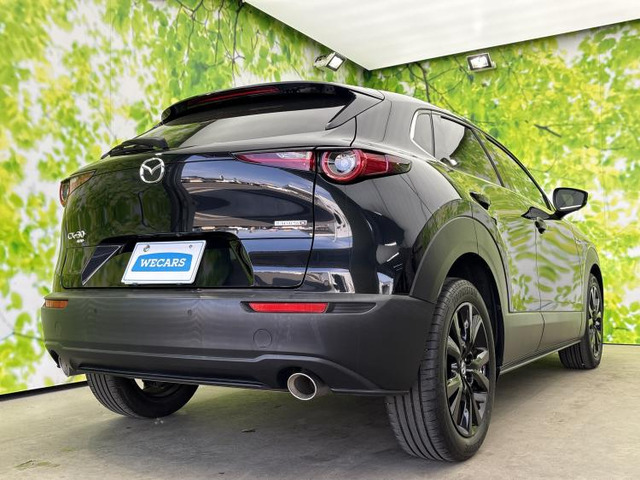 CX-302.0 X ブラックトーンエディション 4WD