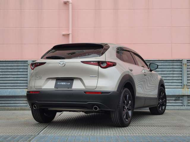 CX-30