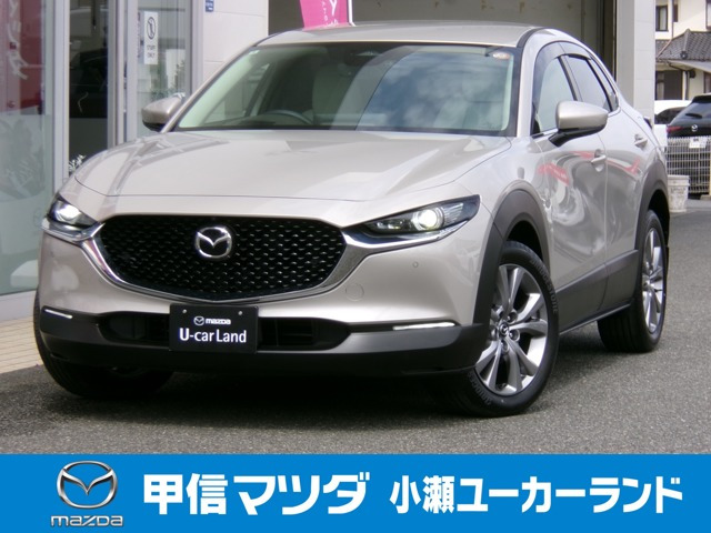 CX-301.8 XD ツーリング