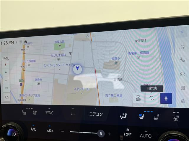 NX250 バージョンL