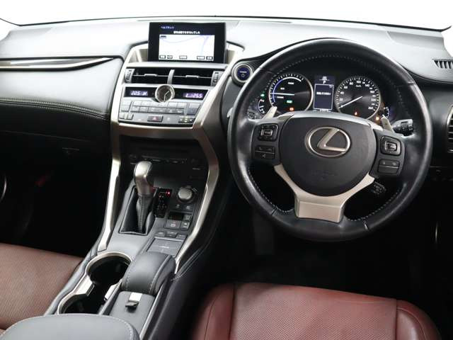 NX300h バージョンL