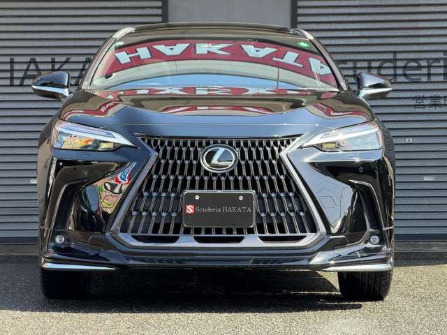 NX250 バージョンL