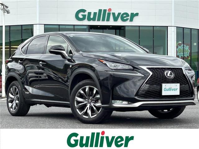 NX300h Fスポーツ