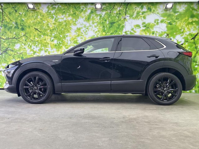CX-302.0 X ブラックトーンエディション 4WD
