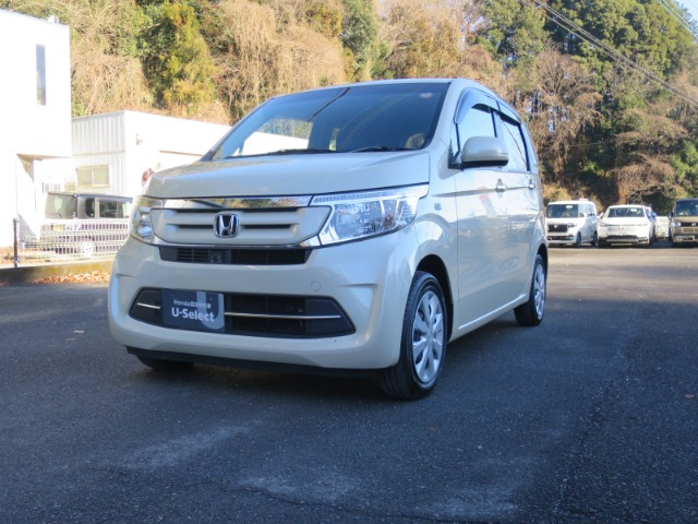 N-WGNG Lパッケージ