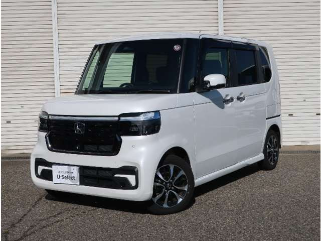 N-BOXカスタムコーディネートスタイル モノトーン