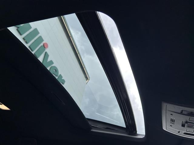 NX300h Fスポーツ