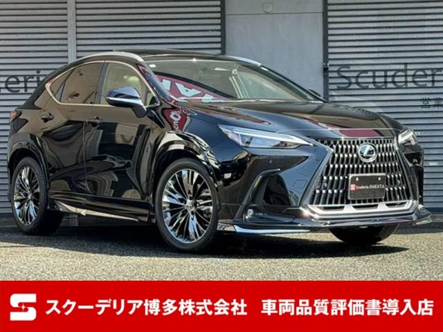 NX250 バージョンL