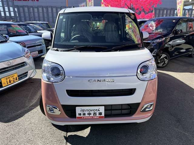 ムーヴキャンバス