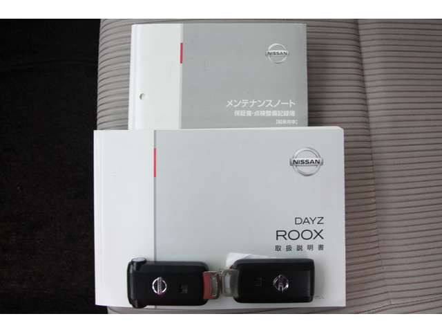 デイズルークスX