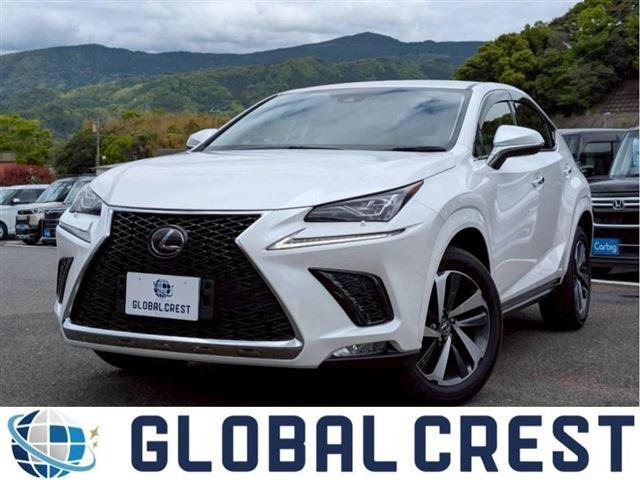 NX300 Iパッケージ