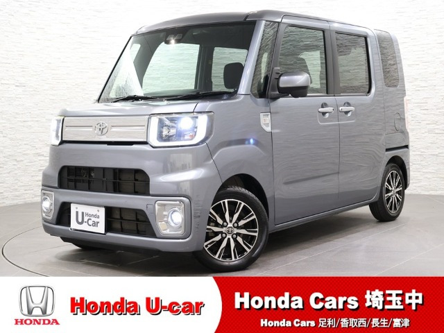 ピクシスメガGターボ SAIII