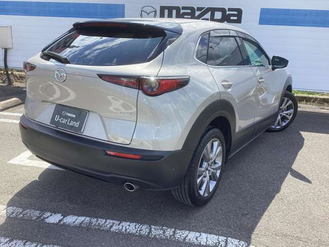 CX-301.8 XD プロアクティブ ツーリングセレクション 4WD