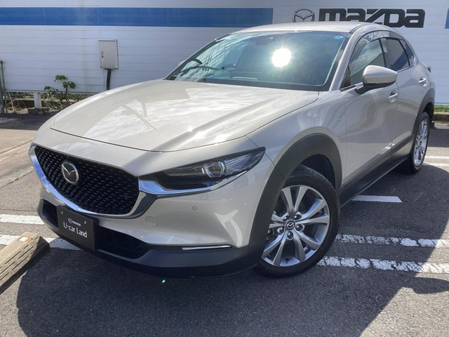 CX-301.8 XD プロアクティブ ツーリングセレクション 4WD