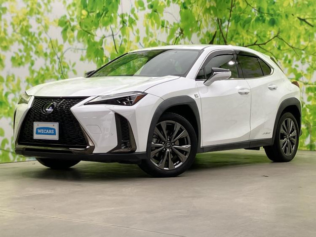 UX250h Fスポーツ