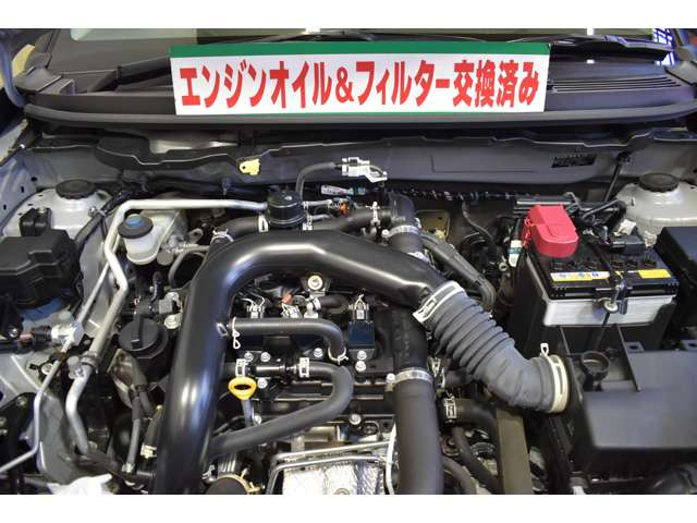 ライズ1.0 G 4WD
