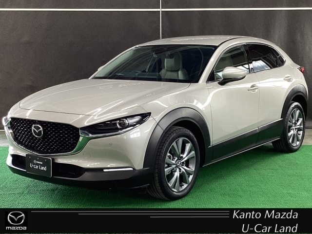 CX-302.0 20S プロアクティブ ツーリングセレクション 4WD