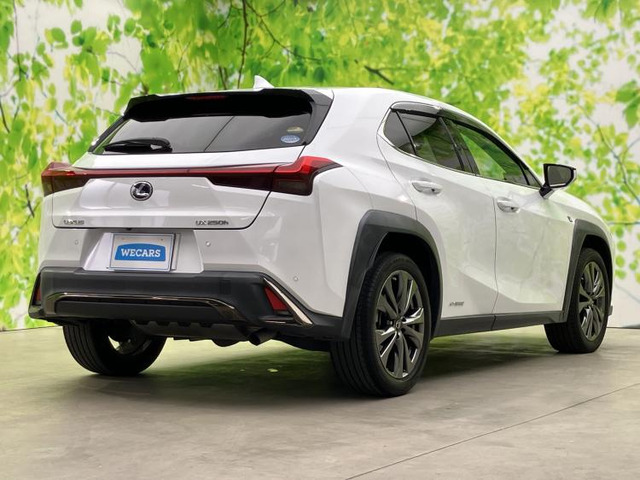 UX250h Fスポーツ