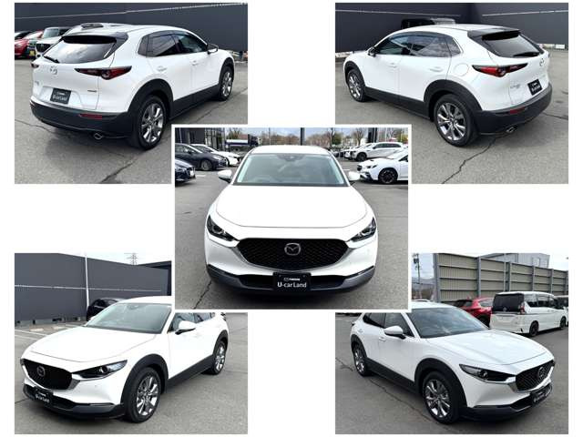 CX-301.8 XD プロアクティブ ツーリングセレクション 4WD