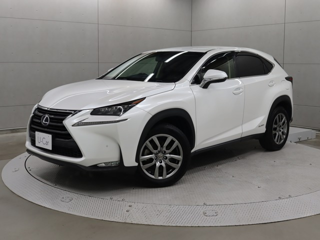 NX300h バージョンL