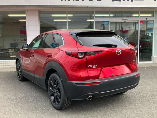 CX-301.8 XD レトロスポーツエディション 4WD