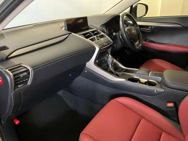 NX300 Iパッケージ