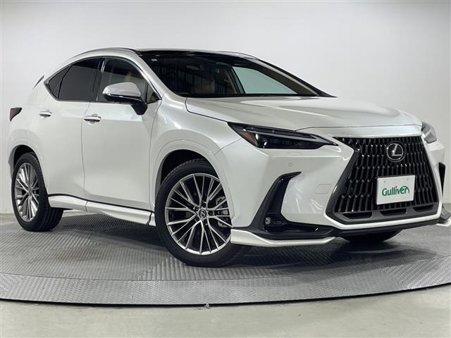 NX250 バージョンL