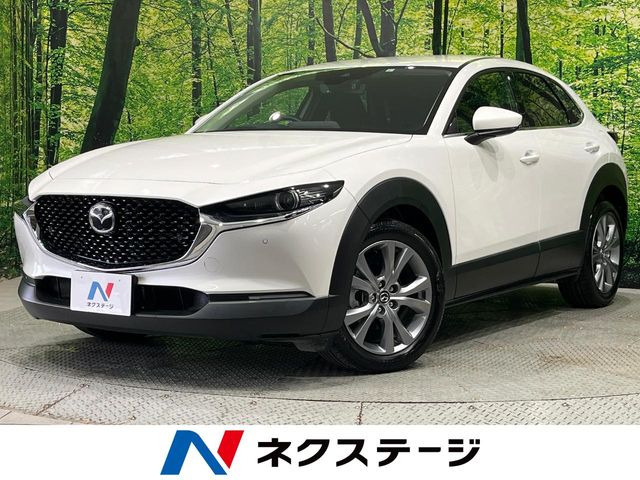 CX-302.0 20S プロアクティブ