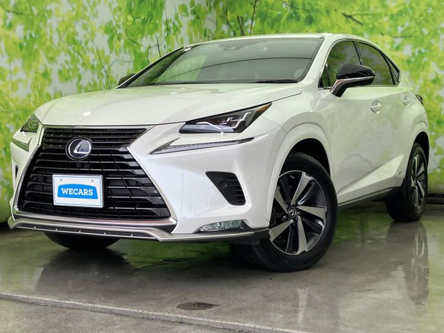 NX300h スパイス&amp;シック